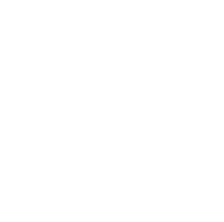 Icon made in italy